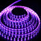 60 LED 5050  RGB лента 12V,14.4W метр,10mm