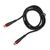 TypeC to TypeC EOFE CC31 65W 1m